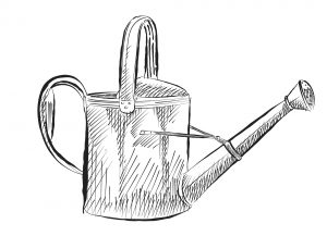 Bien arroser ses dahlias