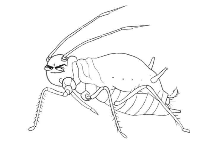 Les dahlias fassent aux nuisibles